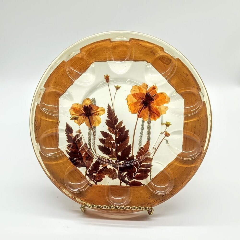 Vintage Brown Acrylic Round Deviled Egg Serving Plate